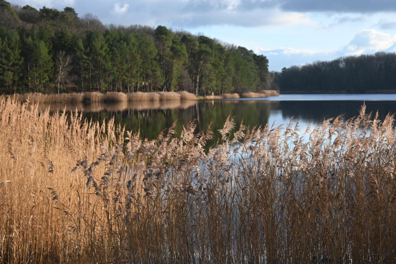 Aux 3 Forets Bizeneuille Eksteriør bilde